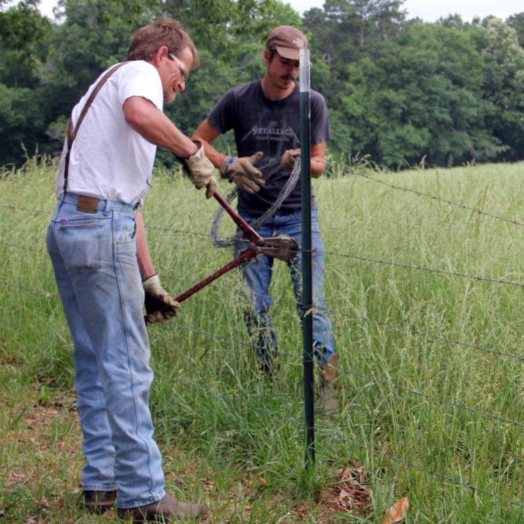 Promoting Rural Prosperity: What do farmers need from their workers?